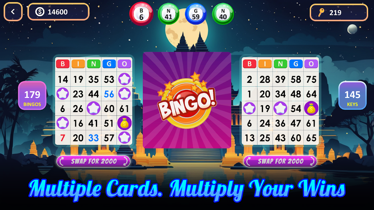 Bingo Frenzy gameplay screenshot